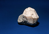 'Leucite from Casserta,Italy'