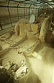'Tomb Excavation,China'