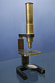 Early Compound Microscope