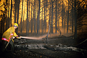 'Firefighter,Yellowstone National Park,