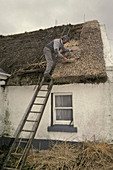 Thatching Roof