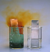 Copper Reacts With Nitric Acid