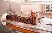 Mummy CT Scan