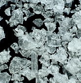 Crystals of sea salt