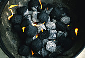 Charcoal Briquet Burning