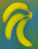 'Bananas,X-ray'