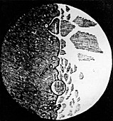 Galileo Moon Drawing