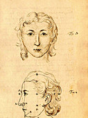 Physiognomical Illustration of Human Head