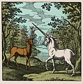 Stag meeting a unicorn