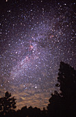 Milky Way in Cygnus