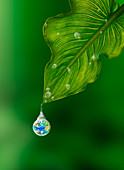Earth in a Drop of Water