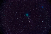 Comet Lovejoy