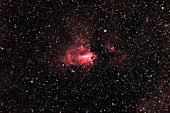 The Swan/Omega Nebula