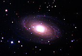 M81 Bode's Spiral Galaxy