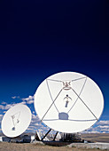 Satellite Dishes