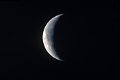 Waning Crescent Moon (19/20)