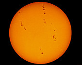 Sunspot Maximum