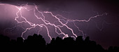 Lightning Storm Over the Needles