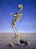 Skeleton with Back Pain