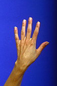 Female Hand and Wrist