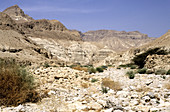 Wadi,Israel