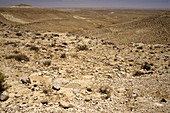 Negev Desert,Israel
