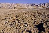 Desert,Israel