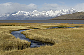Steppes and Mountains,Argentina