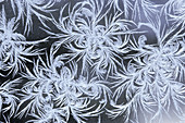 Window Frost