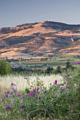 Oregon Landscape