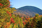 Autumn,White Mountains,NH