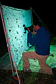 Entomologist Photographing Insects