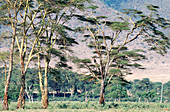 Ngorongoro,Tanzania