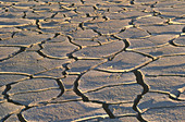Cracked Mud in Namibia