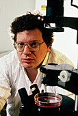 Dr. Michael Wigler