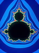 Mandelbrot Set