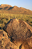 Hohokam Petroglyph,AZ