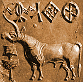 Unicorn on Ancient Seal