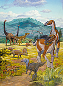 Australian Dinosaurs