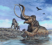 Columbian Mammoth