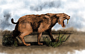 Saber-Toothed Cat