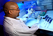 Biologist Preparing PCR Assay