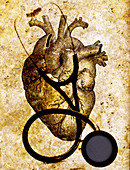 Heart & Stethoscope Illustration