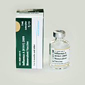 H1N1 Influenza Vaccine