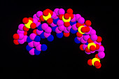 RNA Oligonucleotide