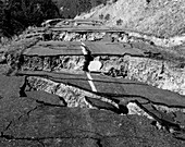 Damage From Yellowstone Earthquake,1959