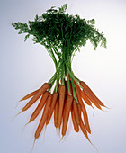 Spanish carrots