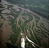 The Mississippi River