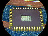 Close-up of ElectroNeedle