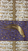 1577 Comet in Turkish Manuscript